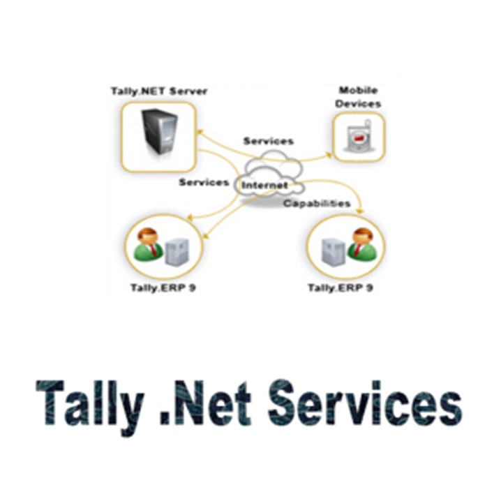 Tally .NET Services